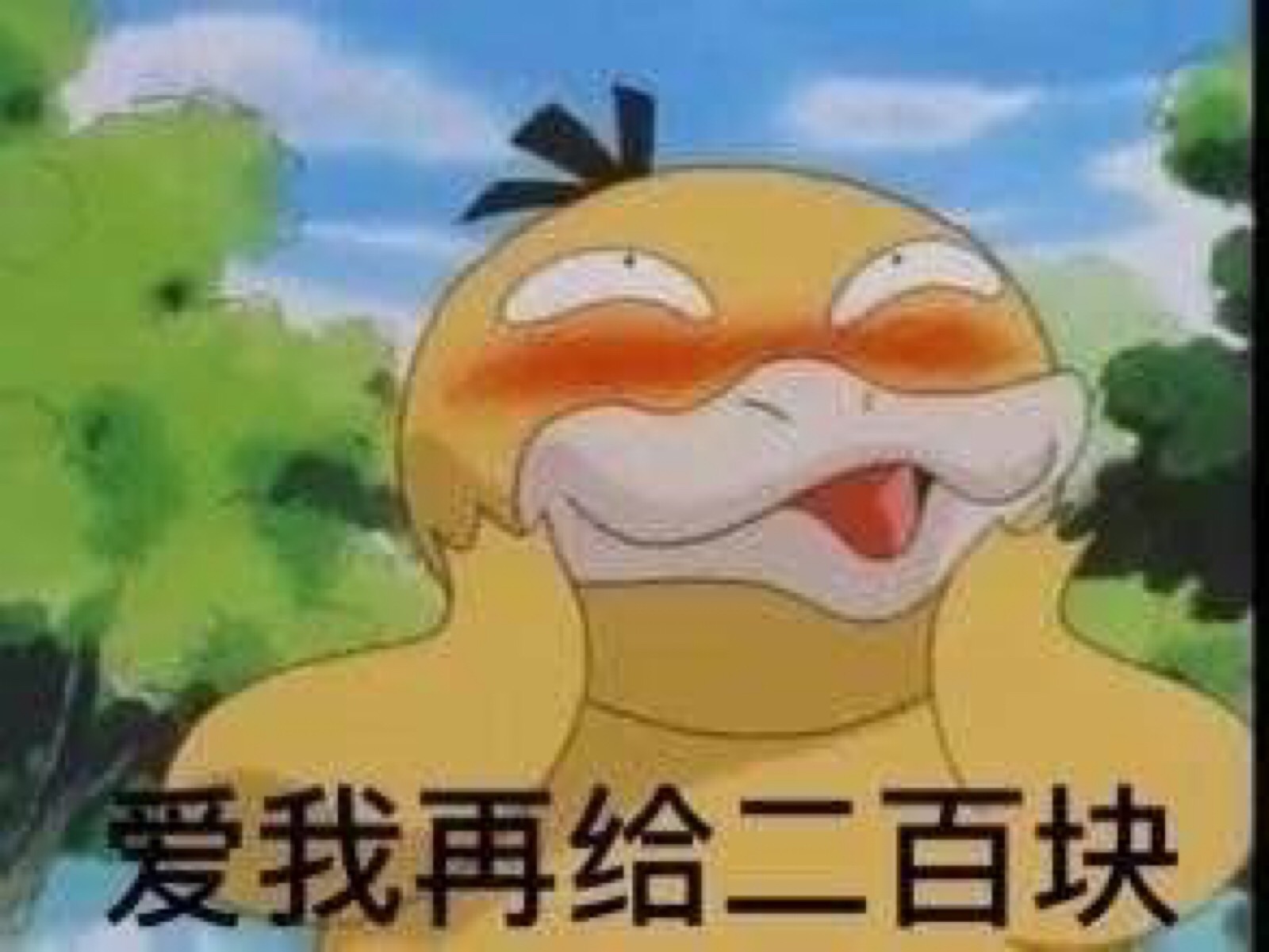 转钱鸭 