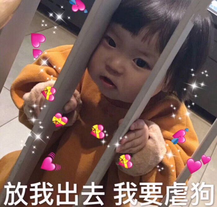 罗熙表情包