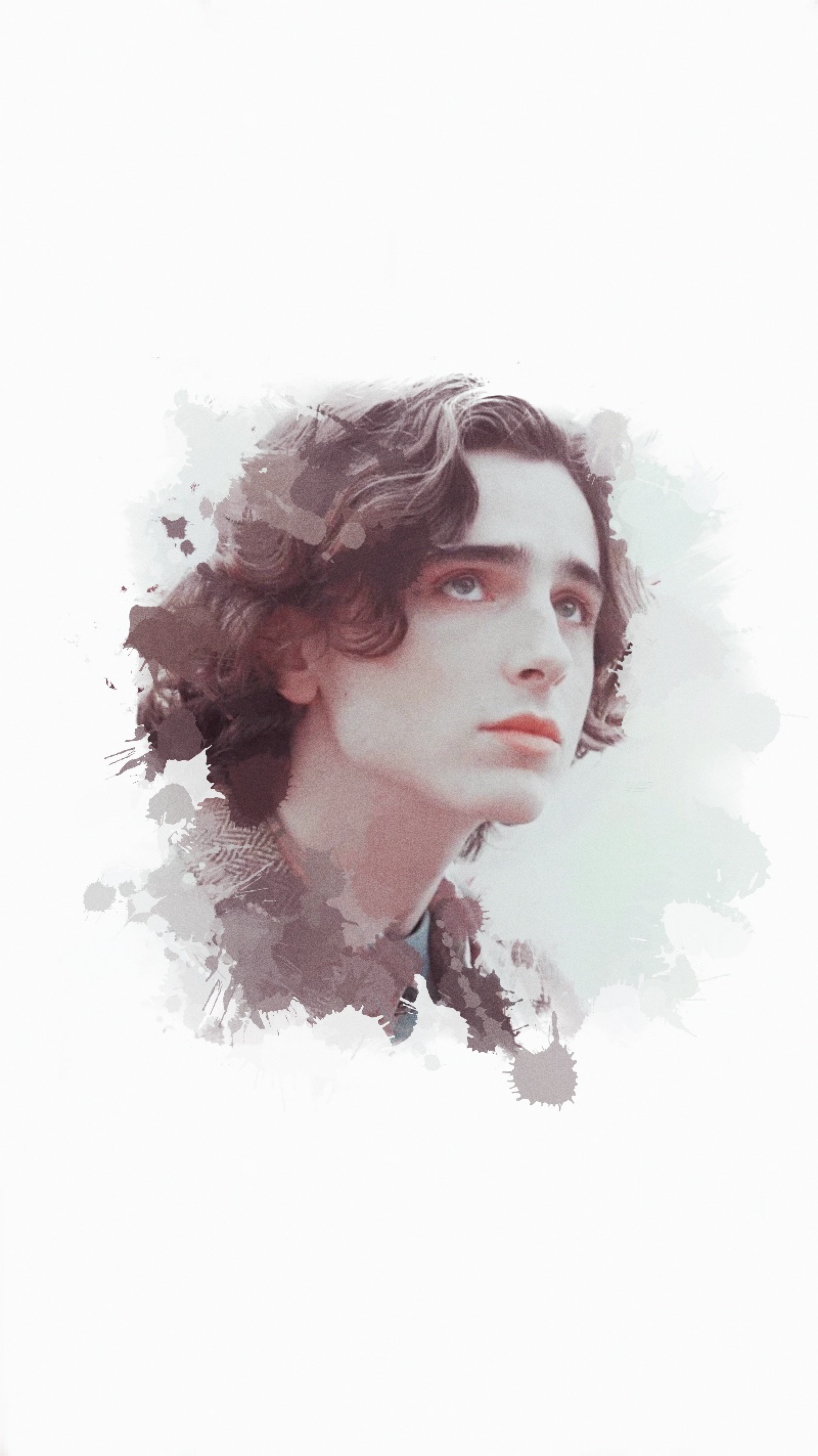 蒂莫西·柴勒梅德timothéechalamet(请以你的名字呼唤我)蒂莫西·柴