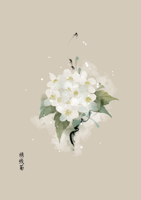 手绘花卉〕绘师:artistic青尘