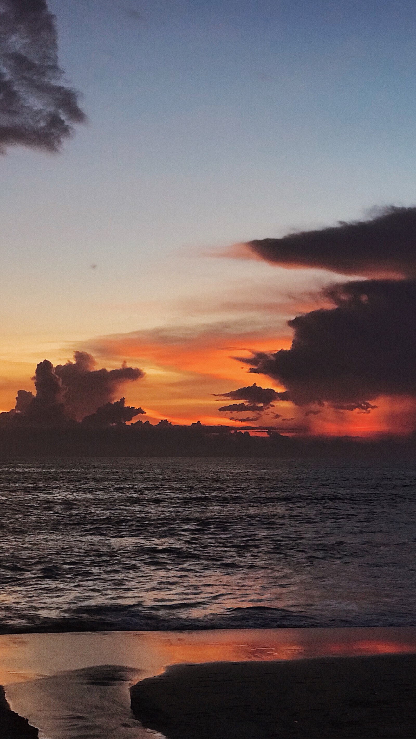 野洵 壁纸 夕阳