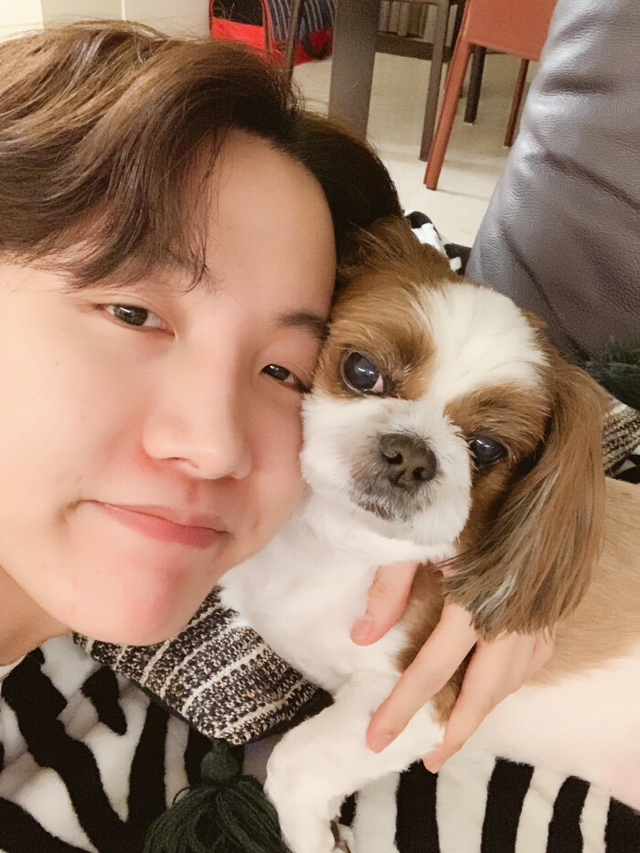 j-hope 郑号锡 bts 防弹少年团 20190218"为我送上生日祝福的wuli