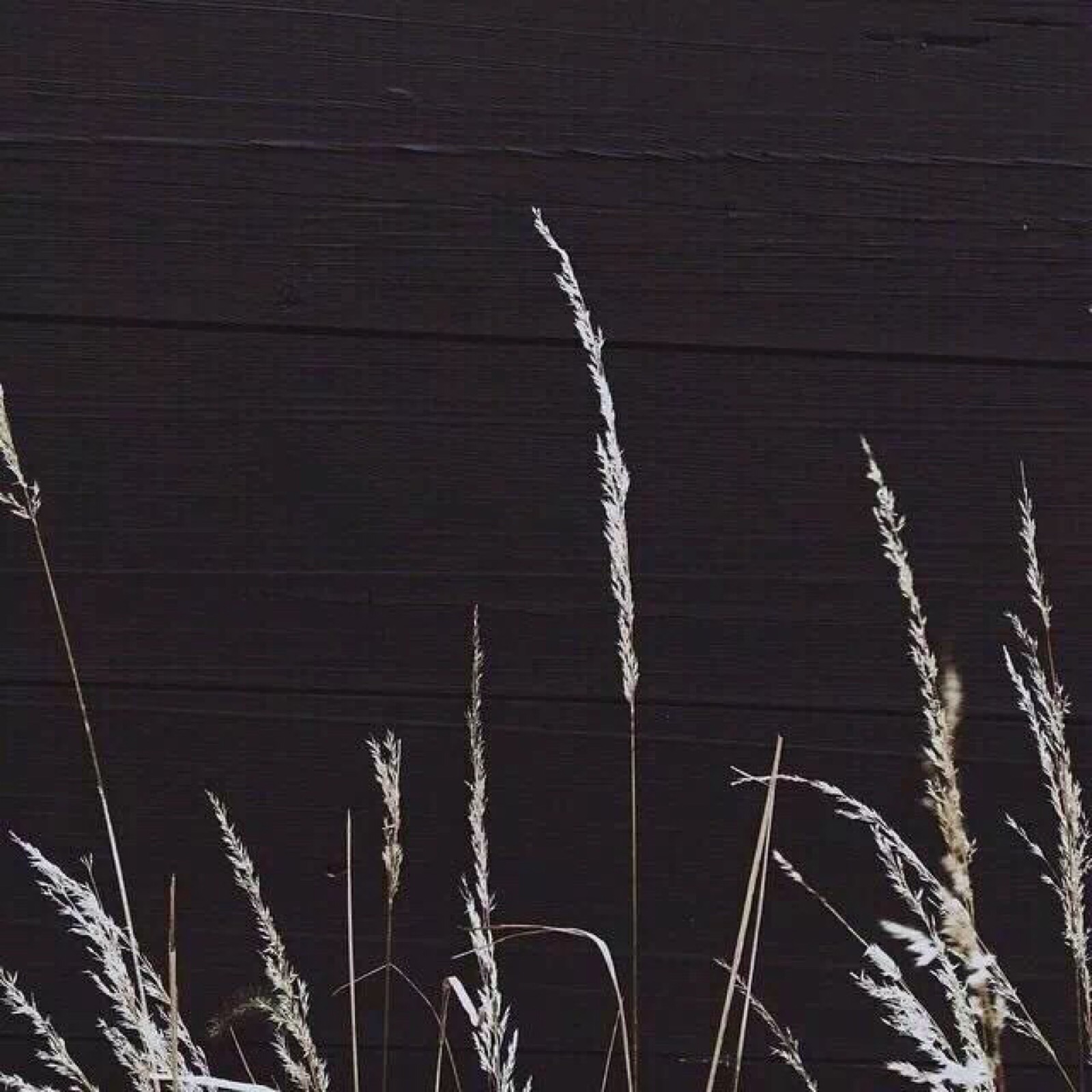 微信背景图