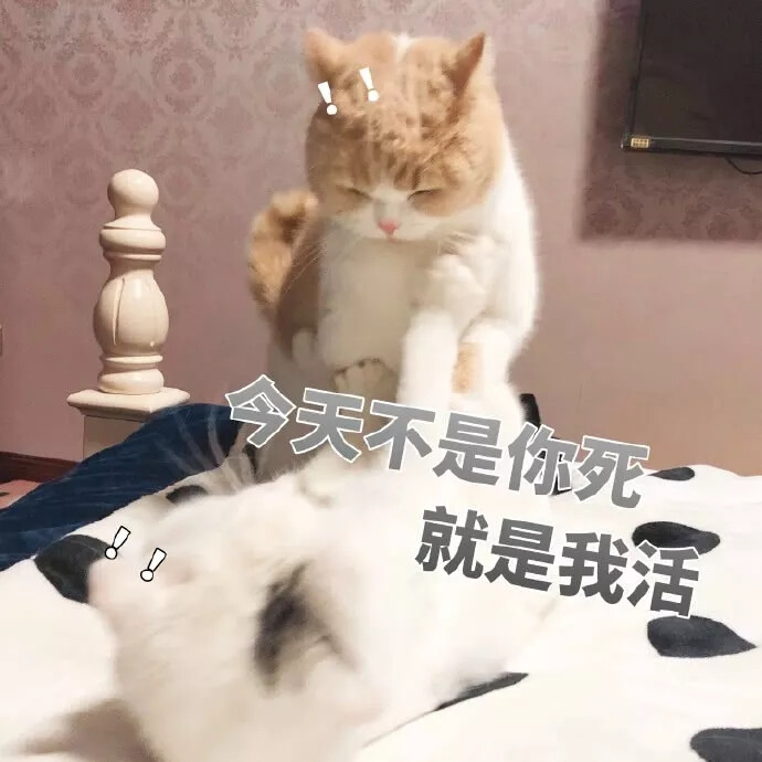 各种可爱 搞怪 委屈 个性 表情包