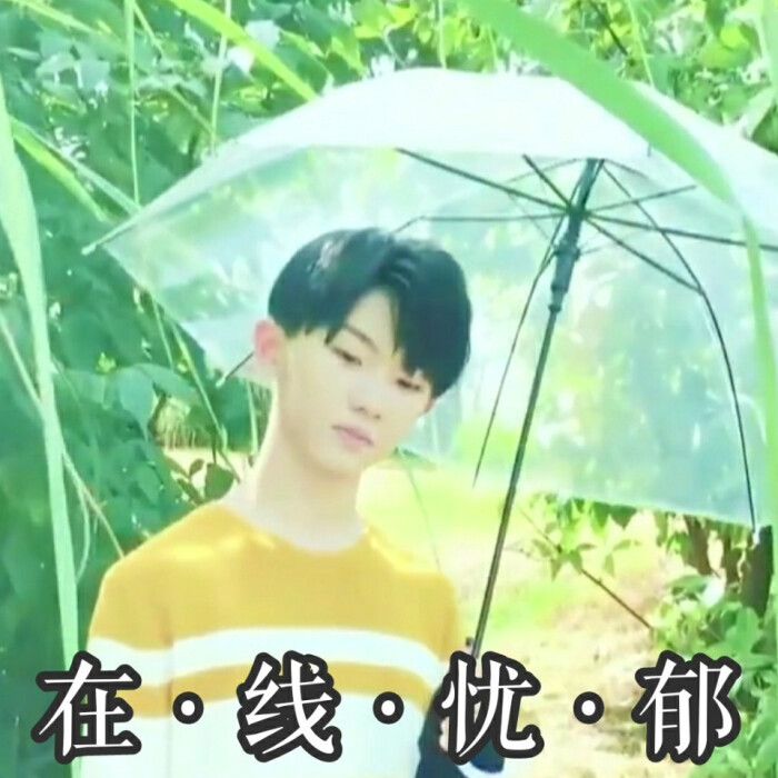 马嘉祺表情包-堆糖,美好生活研究所