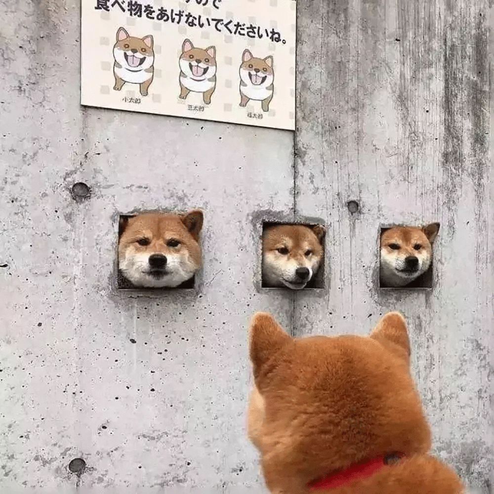沙雕背景图