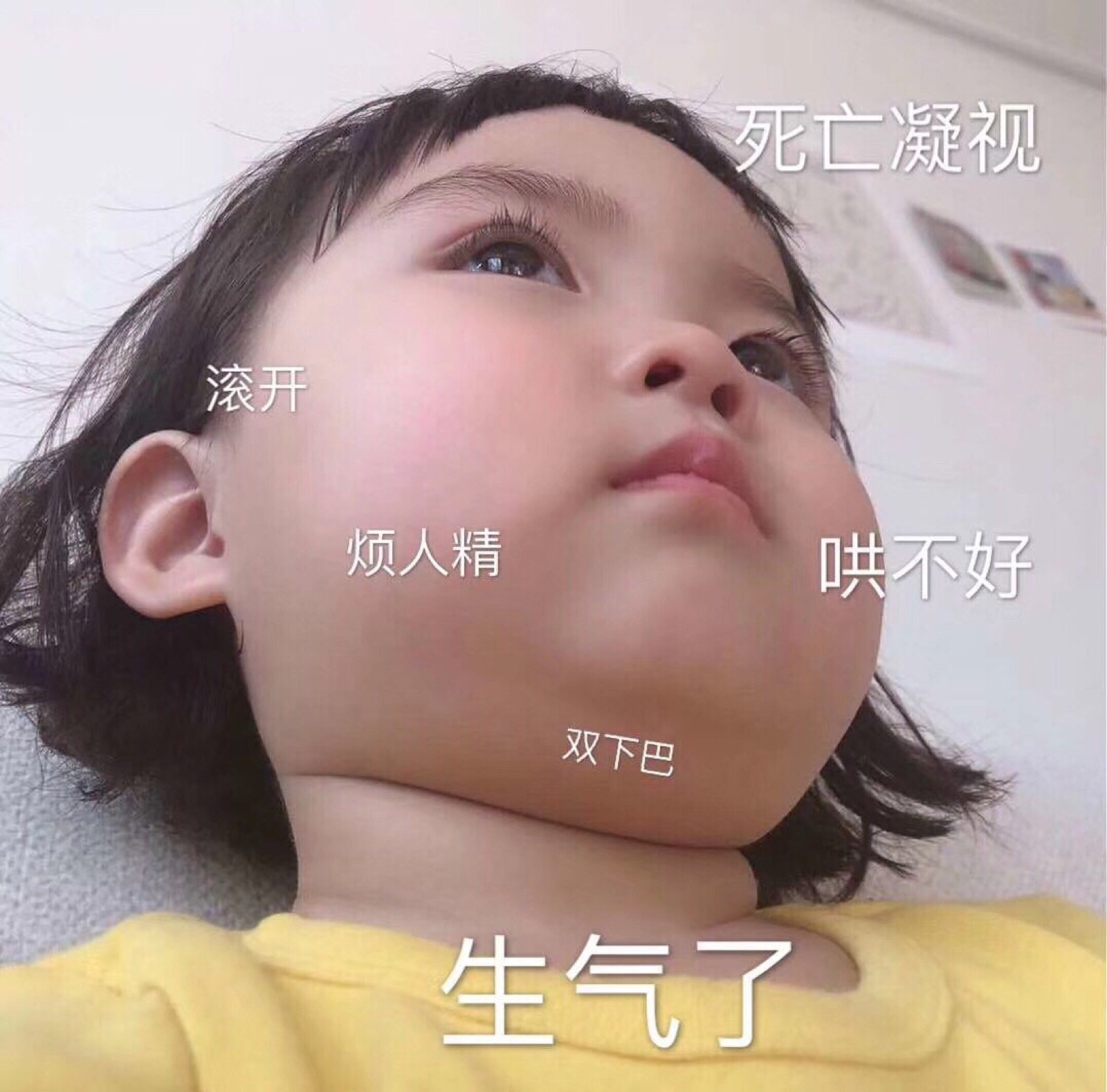 最近比较火的表情包侵权立删高糊表情包 喵咪 熊猫头 gif 金馆长 斗图