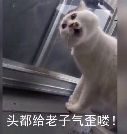 头都给老子气歪喽!