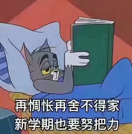 表情包吧我爱学习