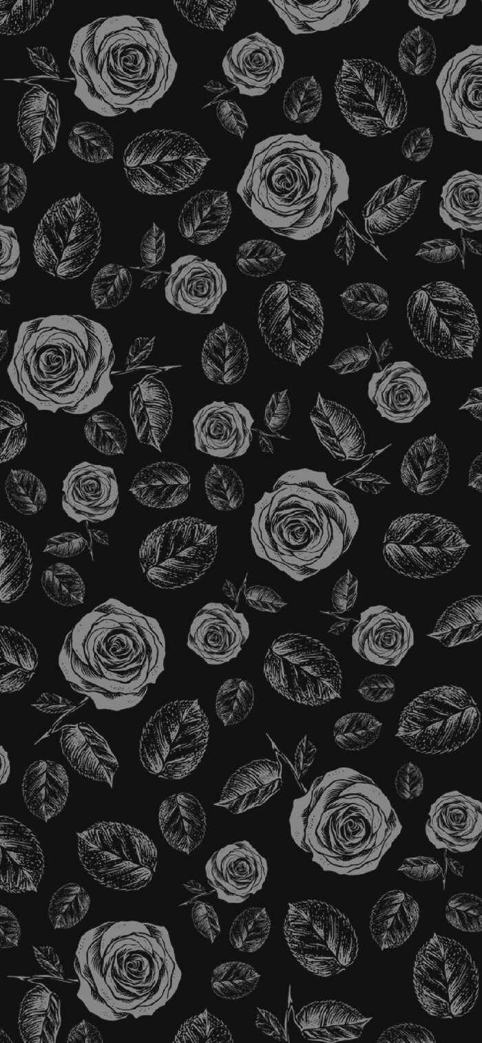 黑色 玫瑰 壁纸 锁屏 背景图