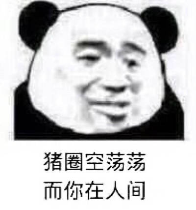 熊猫头表情包