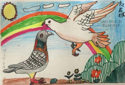 儿童画一一写生鸽子