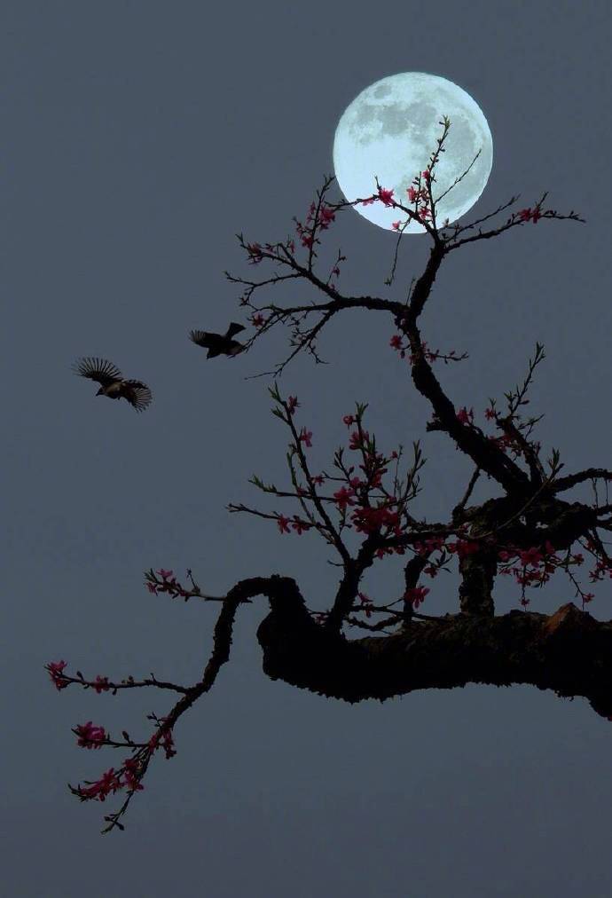 人闲桂花落,夜静春山空.月出惊山鸟,时鸣春涧中.