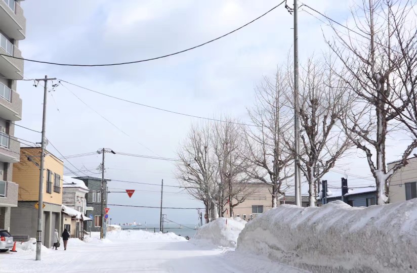 日本雪景