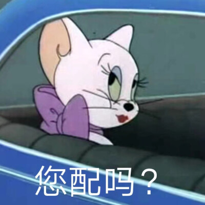 猫和老鼠表情包