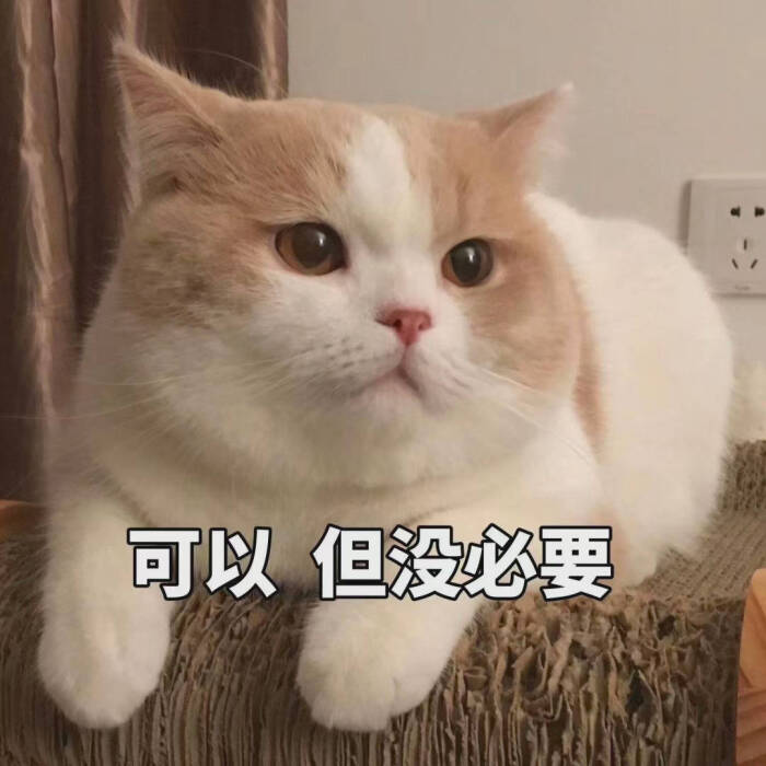 小猫咪表情包 存图留赞