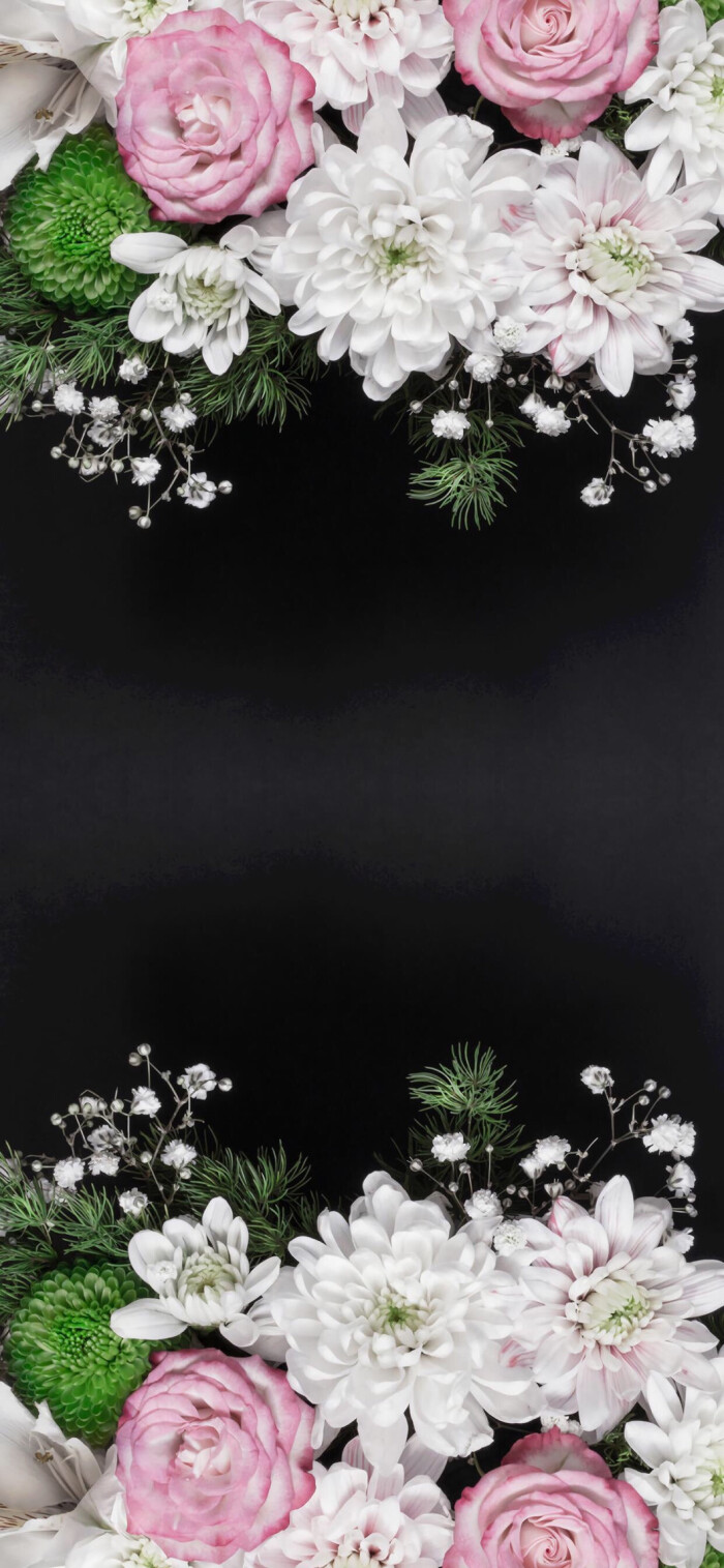iphonex壁纸高清风景,iphonex高清壁纸风景 iphonex xs 高清壁纸 插画拼接 植物风景