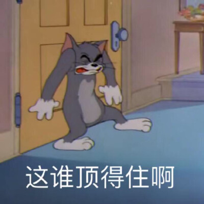 猫和老鼠表情包