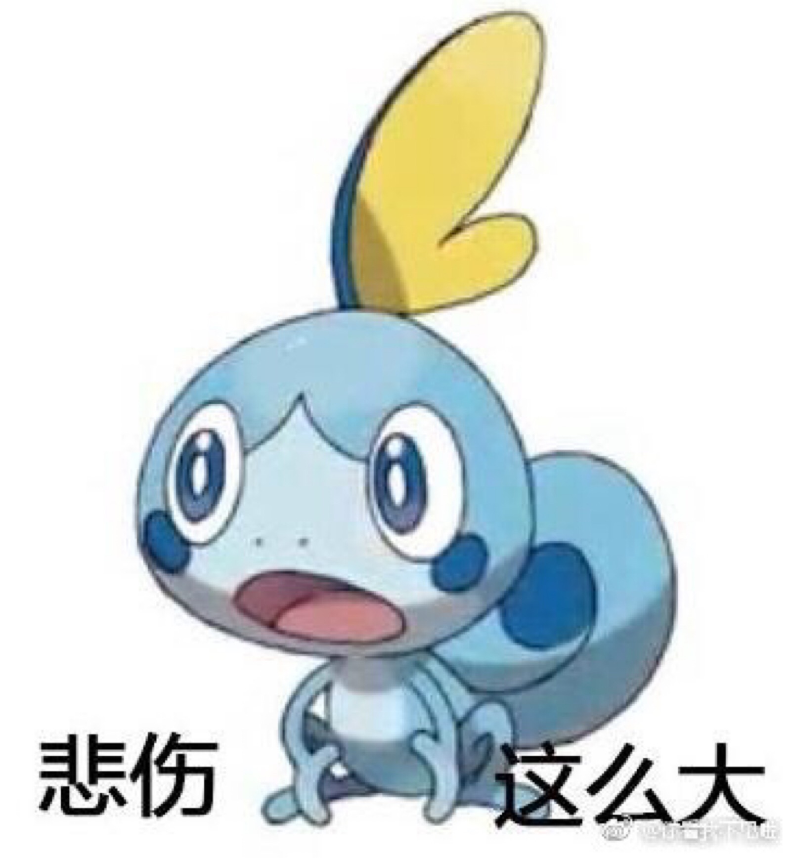 宝可梦表情包