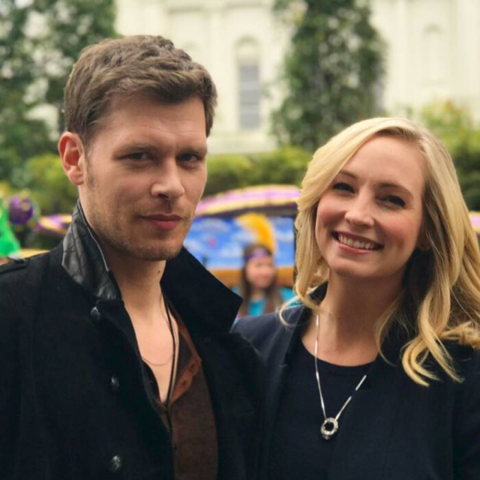 klaus x caroline