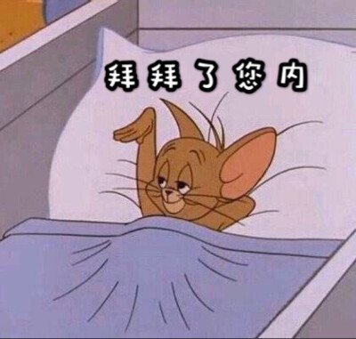 表情包 猫和老鼠