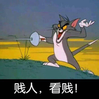 表情包 猫和老鼠