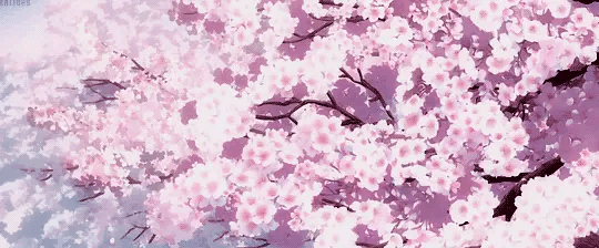 540_224gif 动态图 动图