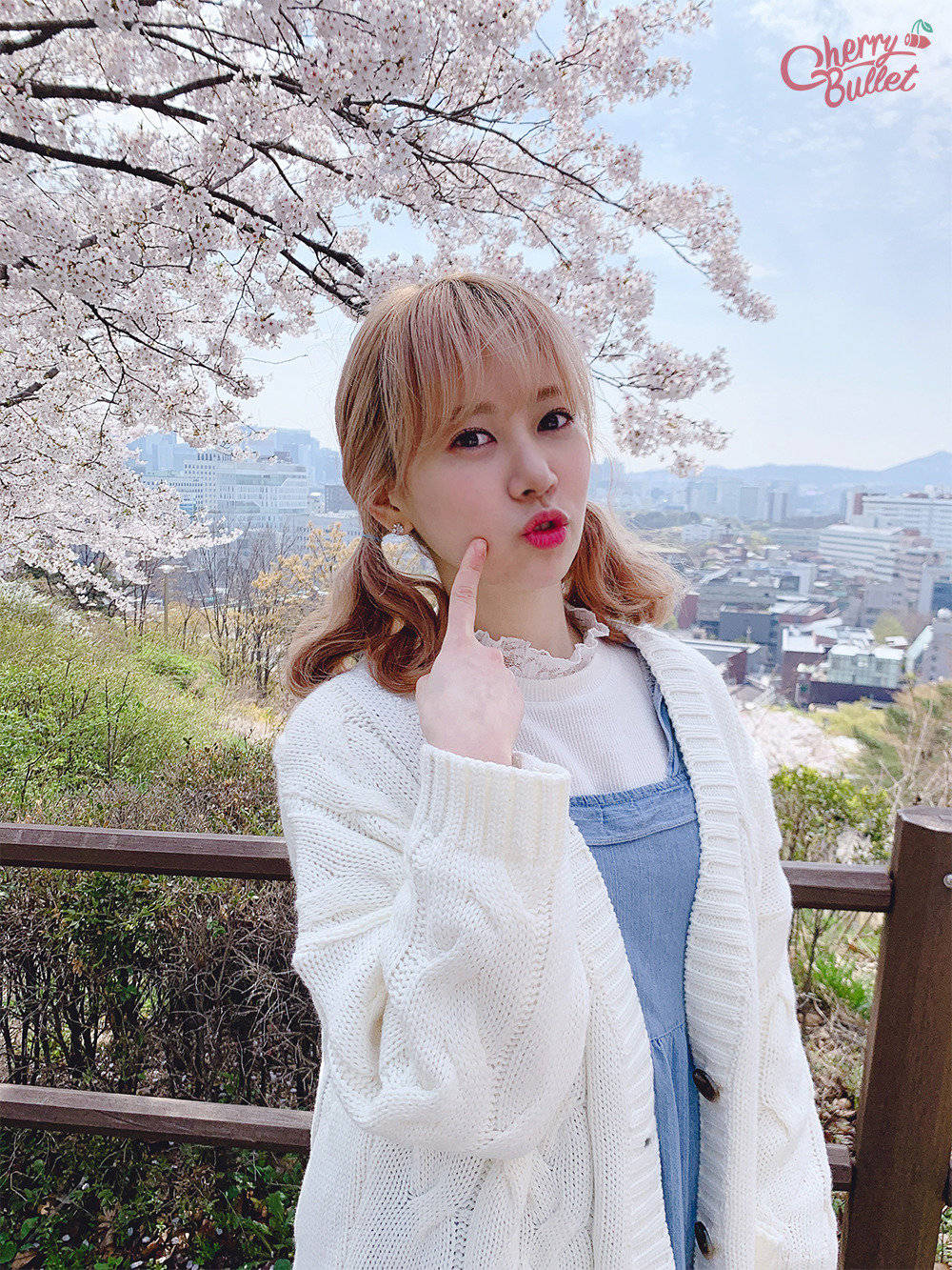 cherrybullet 金紫萝 bora