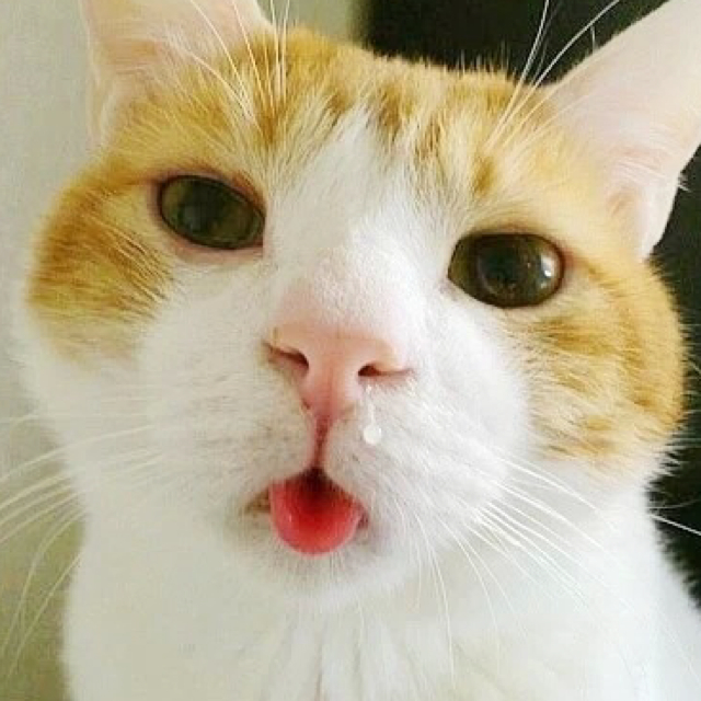 看一看 心情好