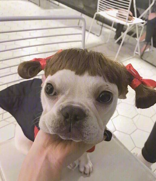 错生 明望夫夫 姚望 杨业明 奶望 leo lucas-堆糖