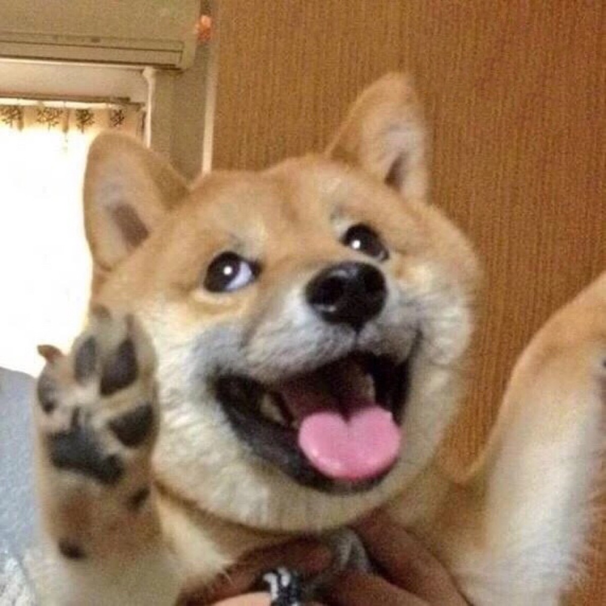 爱追剧