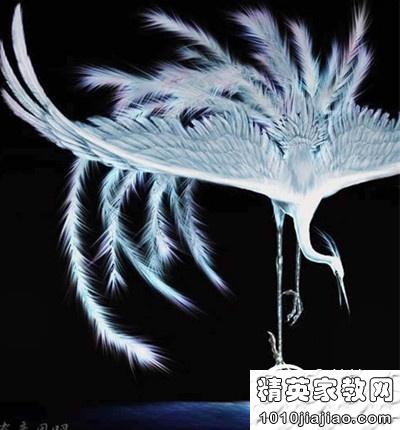 沉迷□□无法自拔( ▽` )