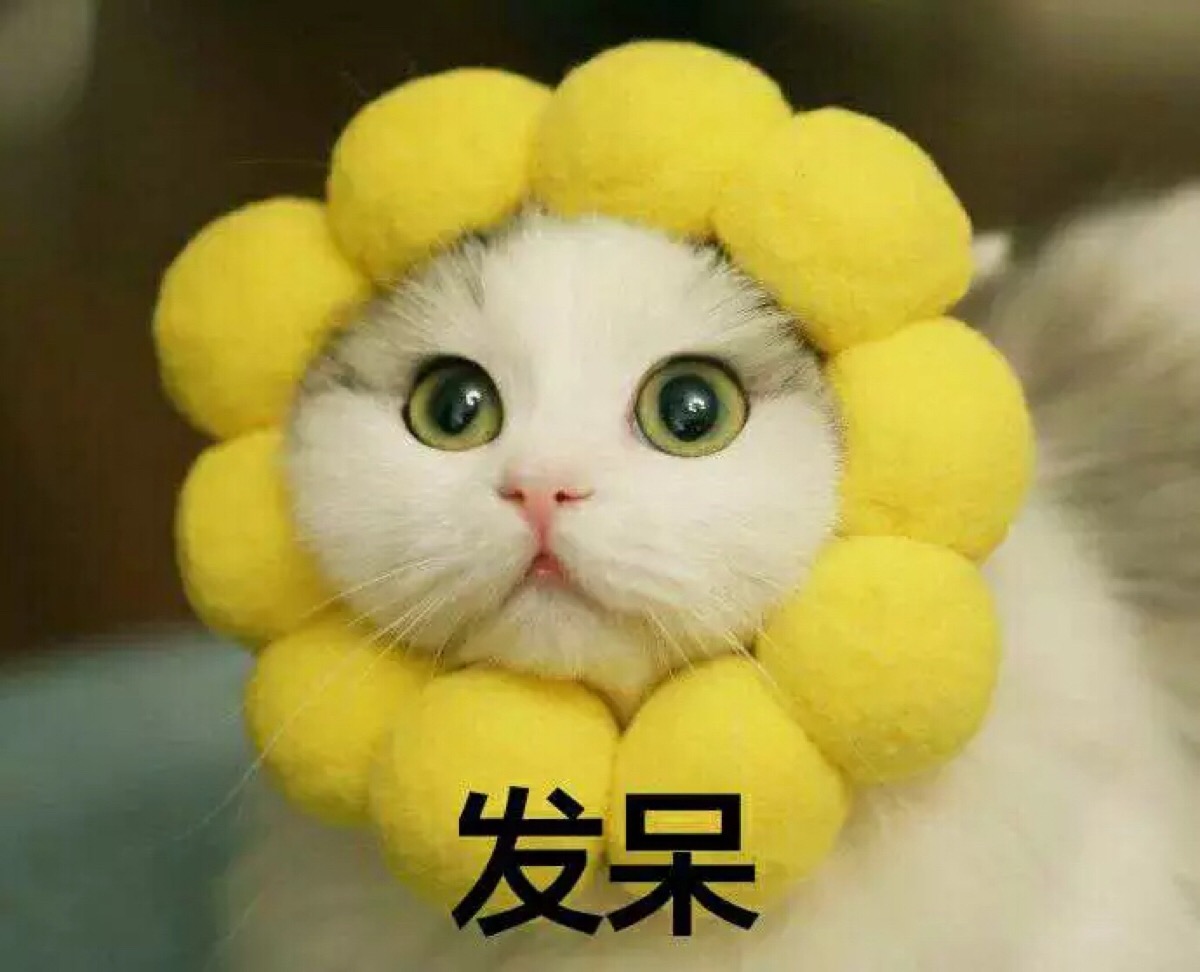 表情包