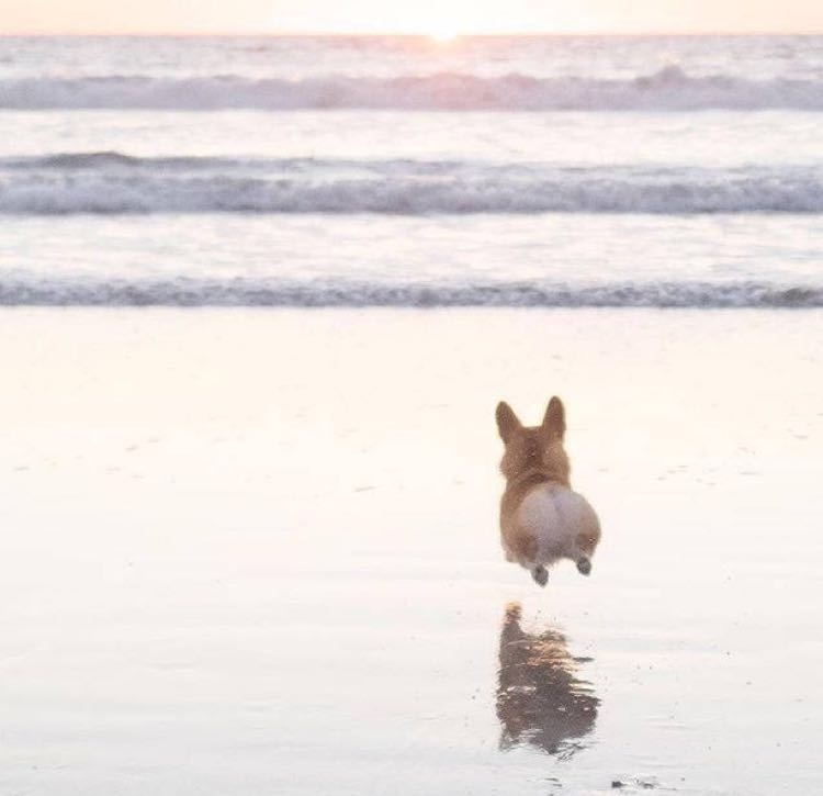 生命神迹不可逆